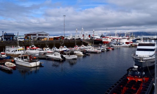 port-reykjavik