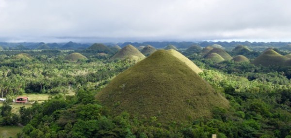 Chocolate hills de l'île de Bohol