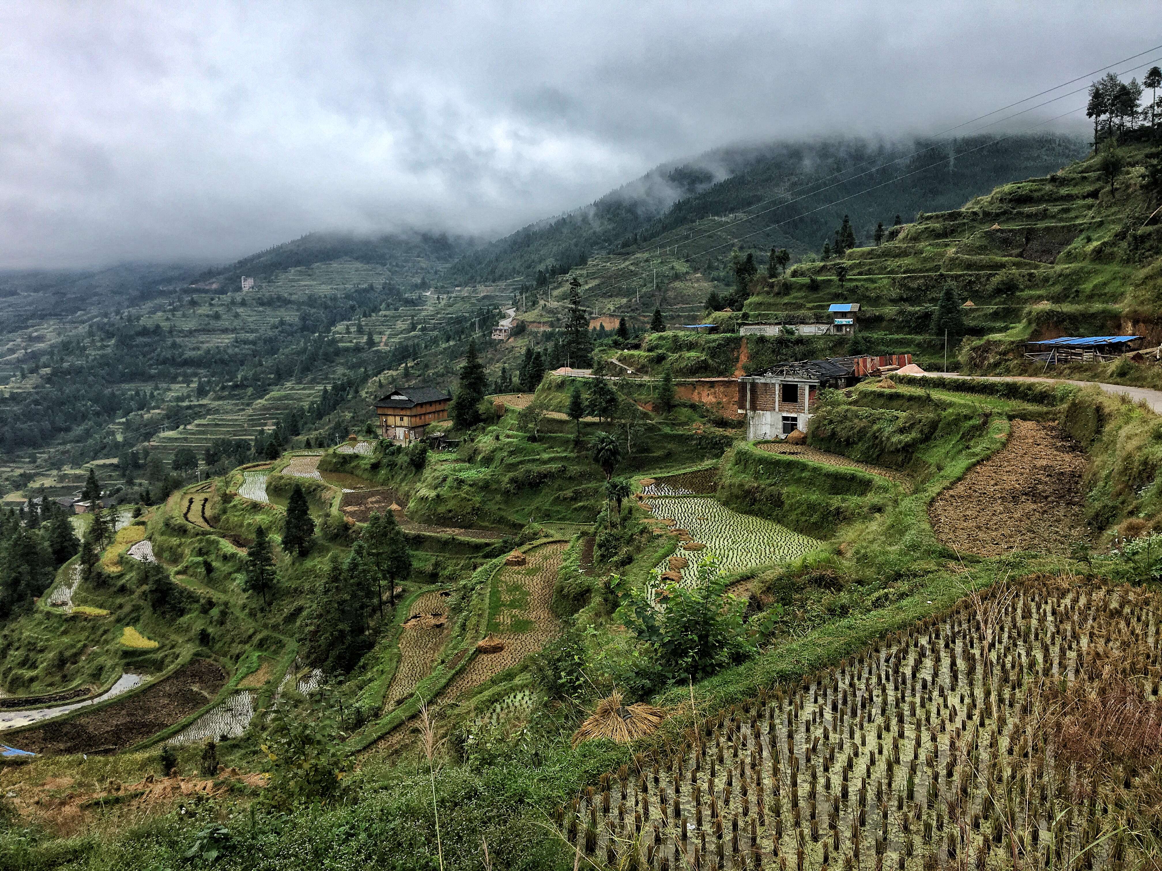 Les rizières en terrasse autour de Zhaoxing dans la province du Guizhou