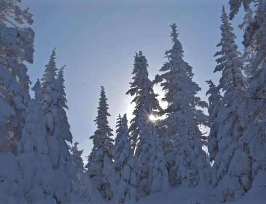 Le Saguenay en hiver et le parc national des Monts-Valin