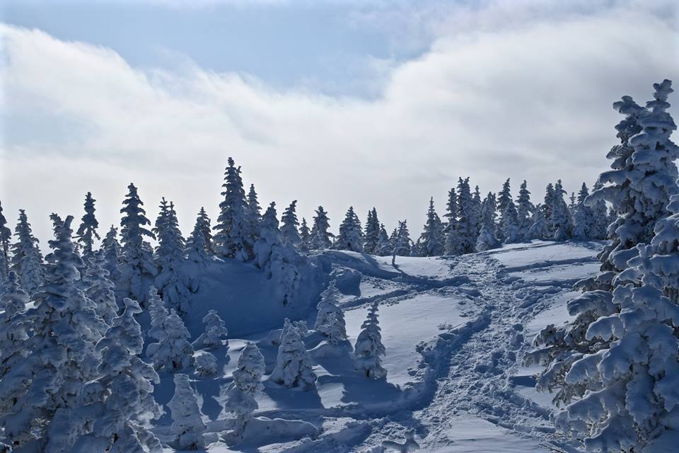 Au sommet des Monts-Valin, le Saguenay en hiver