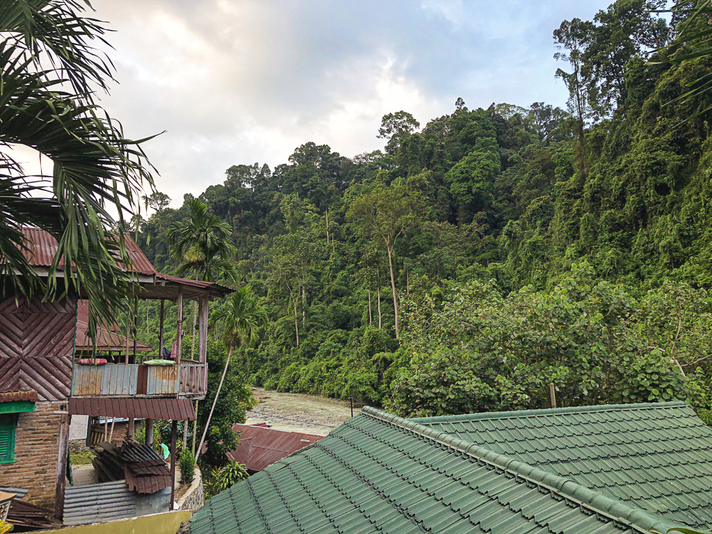 Séjourner dans la jungle à Bukit Lawang, Sumatra