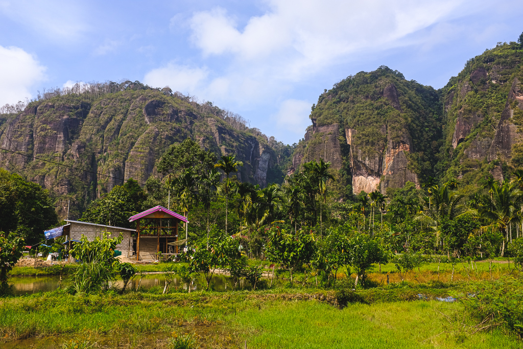 Vallée d'Harau à Sumatra