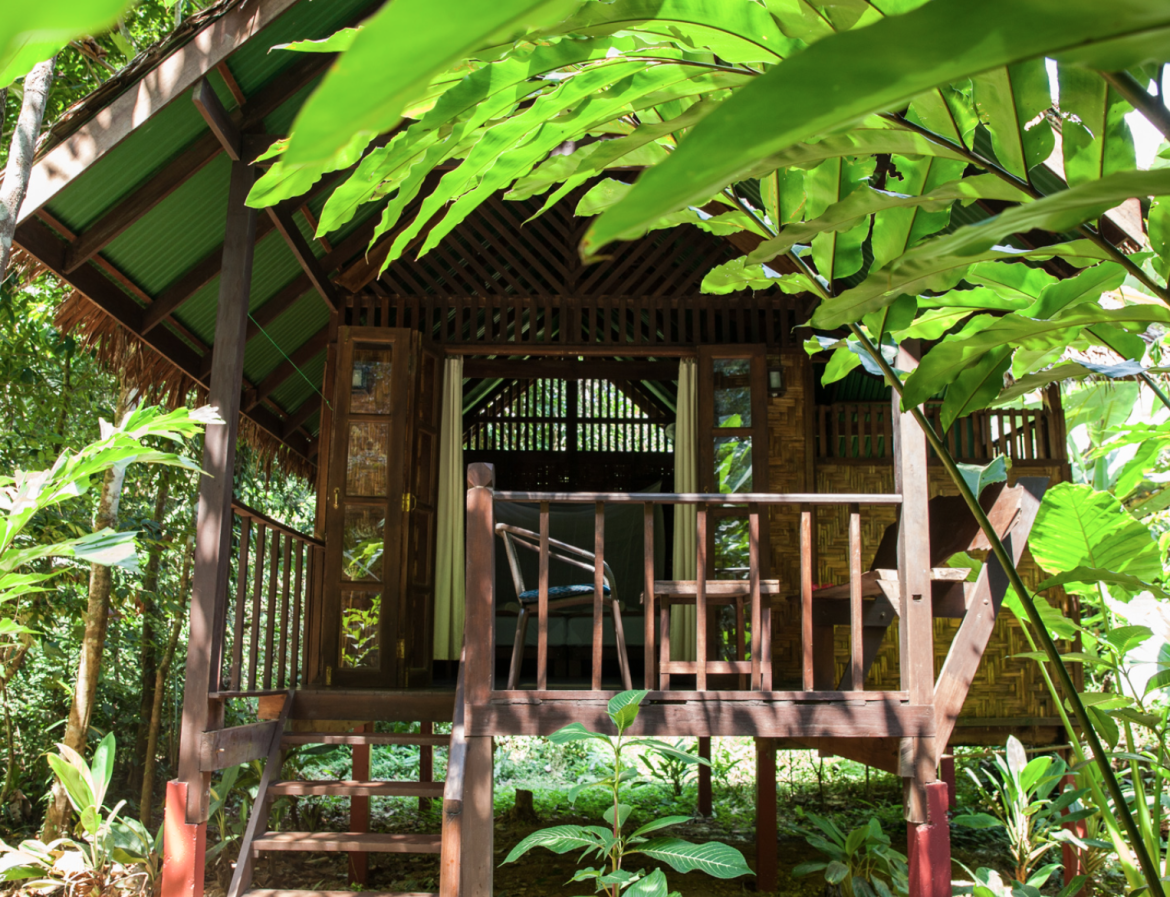 Dormir dans un écolodge au Parc National Khao Sok