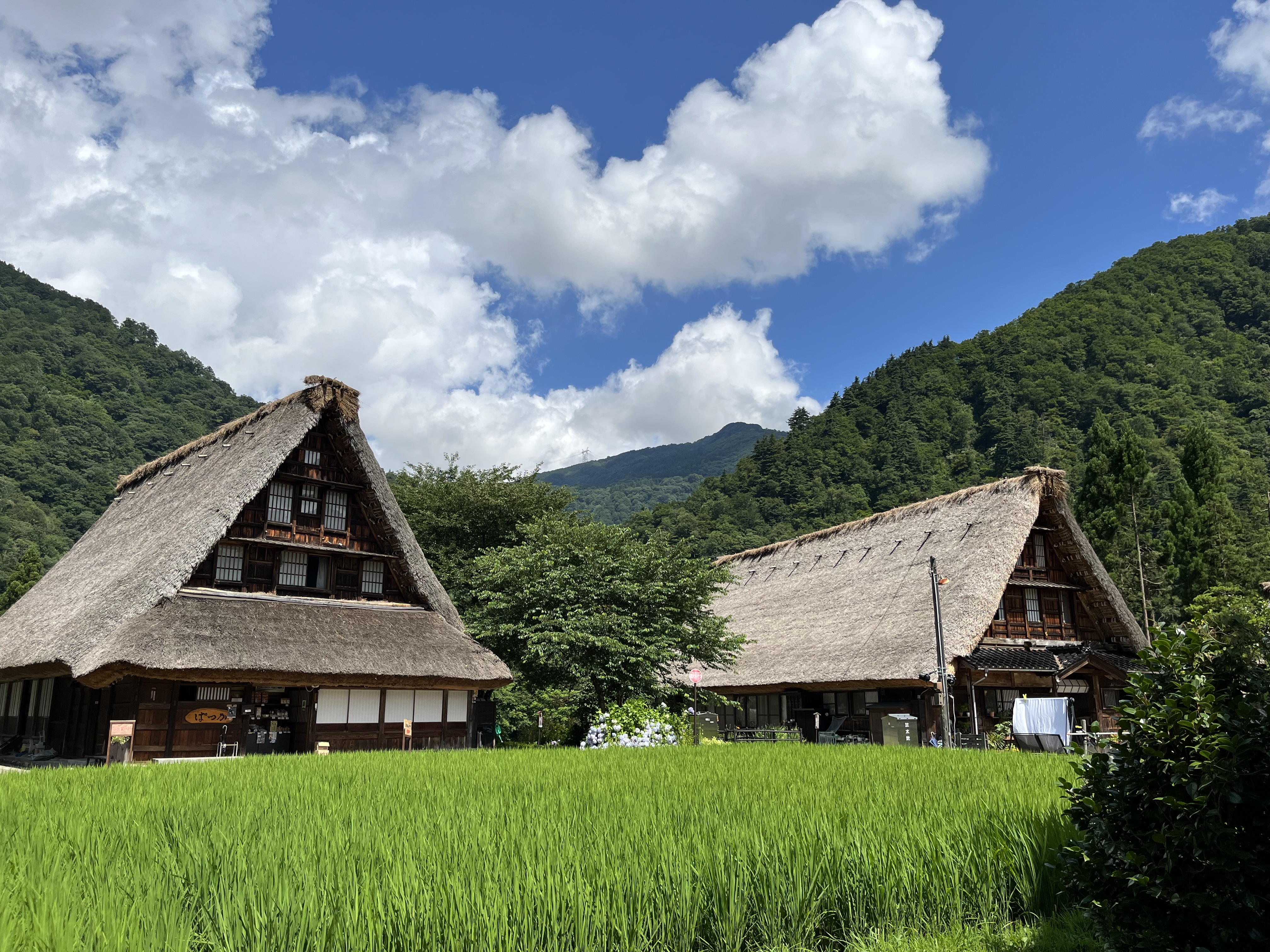 Visiter les villages japonais lors d'un road trip au Japon en voiture